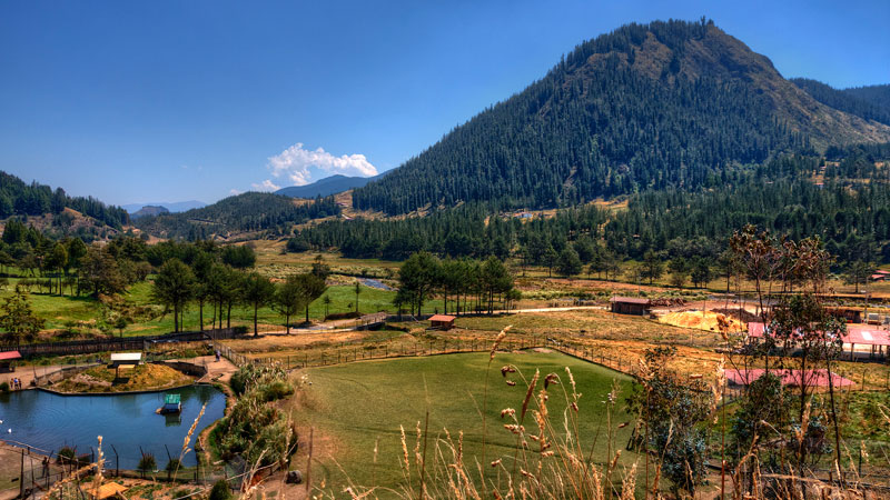 Cajamarca