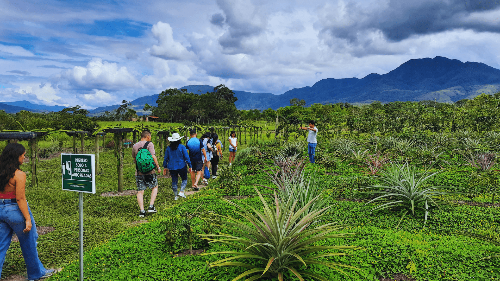 Tarapoto